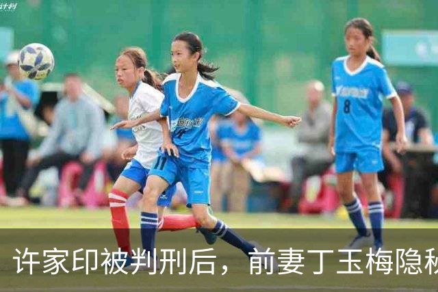许家印被判刑后，前妻丁玉梅隐秘资产背后真相揭秘